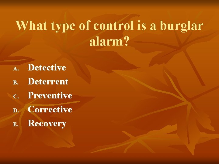 What type of control is a burglar alarm? A. B. C. D. E. Detective