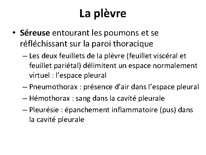 La plèvre • Séreuse entourant les poumons et se réfléchissant sur la paroi thoracique