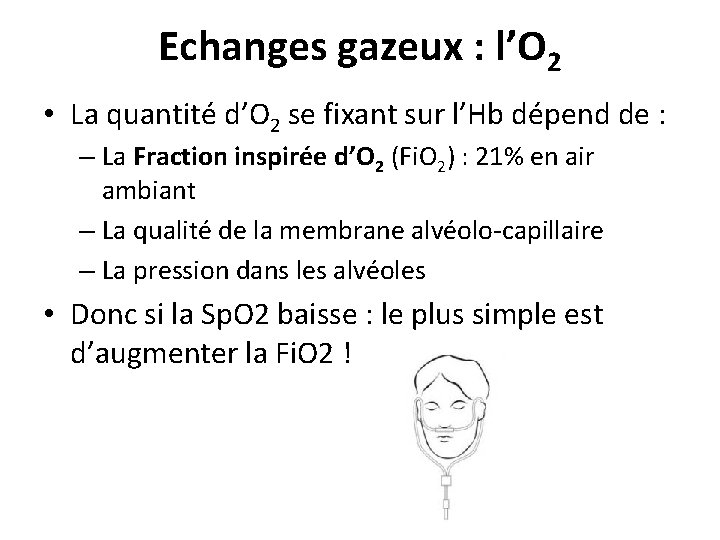 Echanges gazeux : l’O 2 • La quantité d’O 2 se fixant sur l’Hb