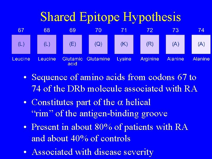 Shared Epitope Hypothesis • Sequence of amino acids from codons 67 to 74 of