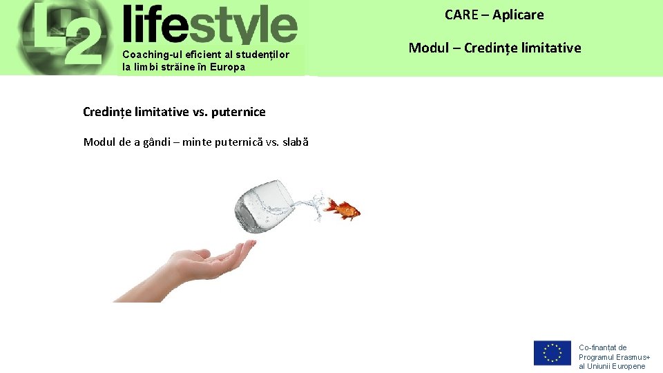 Copyright Protection: Strictly Confidential - ISO 16016 CARE – Application CARE – Aplicare Coaching-ul Copyright Protection: Strictly Confidential - ISO 16016 CARE – Application CARE – Aplicare Coaching-ul