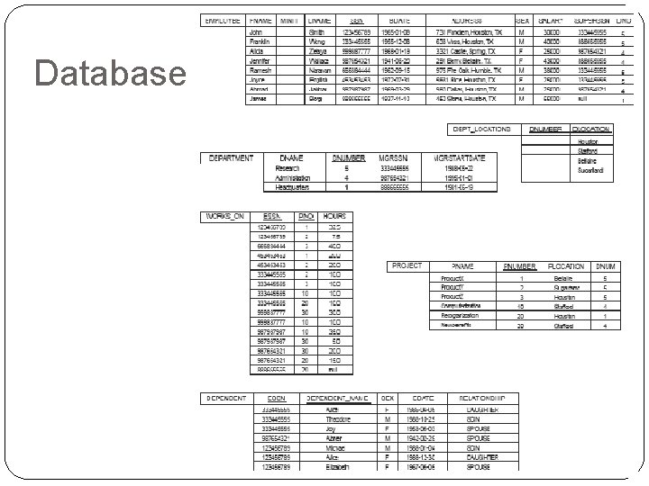 Database 