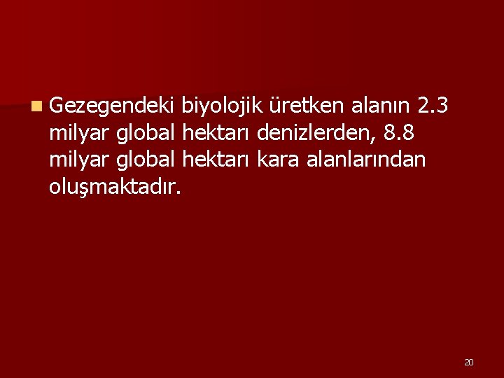 n Gezegendeki biyolojik üretken alanın 2. 3 milyar global hektarı denizlerden, 8. 8 milyar