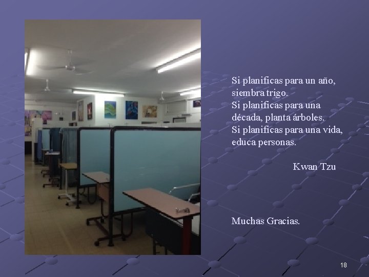 Si planificas para un año, siembra trigo. Si planificas para una década, planta árboles.