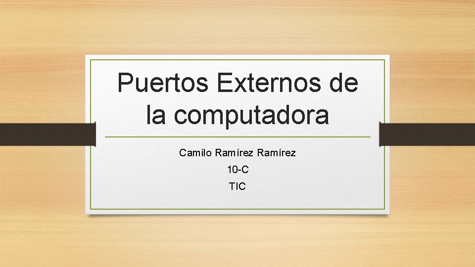 Puertos Externos de la computadora Camilo Ramírez 10 -C TIC 