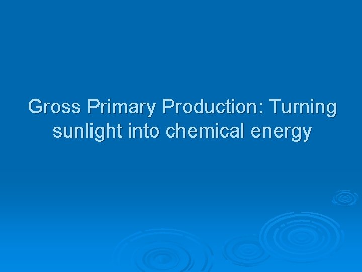 Gross Primary Production: Turning sunlight into chemical energy 