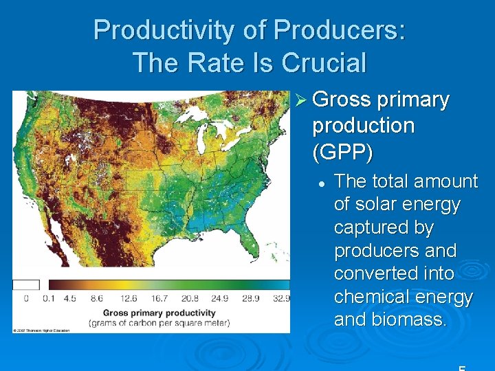 Productivity of Producers: The Rate Is Crucial Ø Gross primary production (GPP) l The