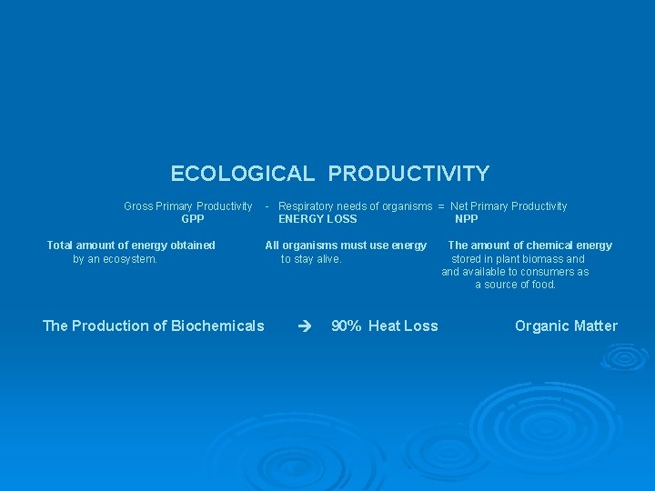 ECOLOGICAL PRODUCTIVITY Gross Primary Productivity GPP Total amount of energy obtained by an ecosystem.