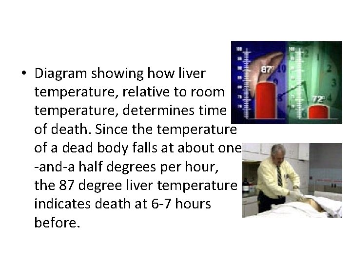  • Diagram showing how liver temperature, relative to room temperature, determines time of