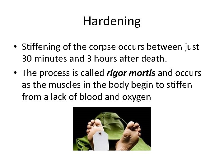 Hardening • Stiffening of the corpse occurs between just 30 minutes and 3 hours
