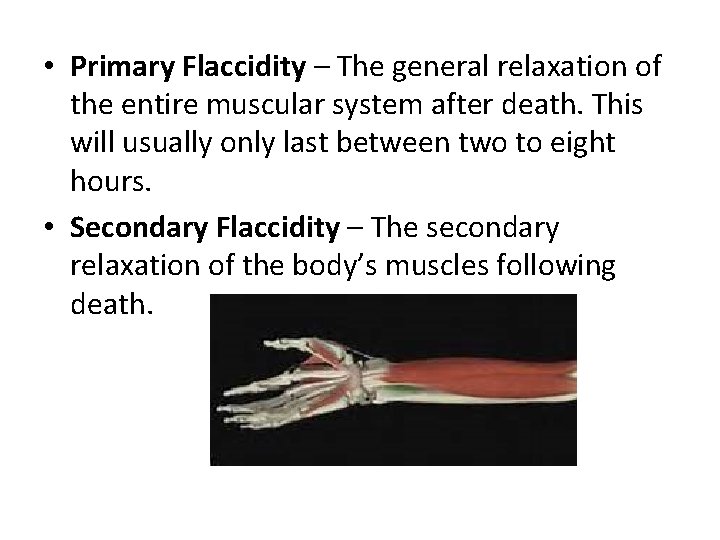  • Primary Flaccidity – The general relaxation of the entire muscular system after