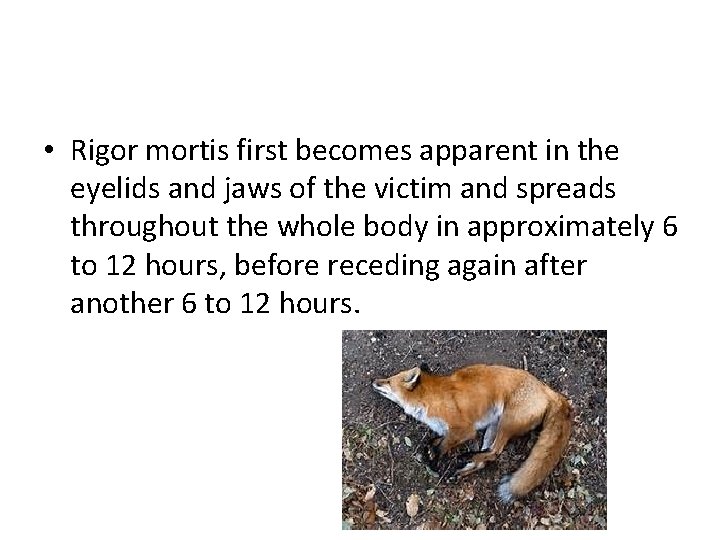  • Rigor mortis first becomes apparent in the eyelids and jaws of the