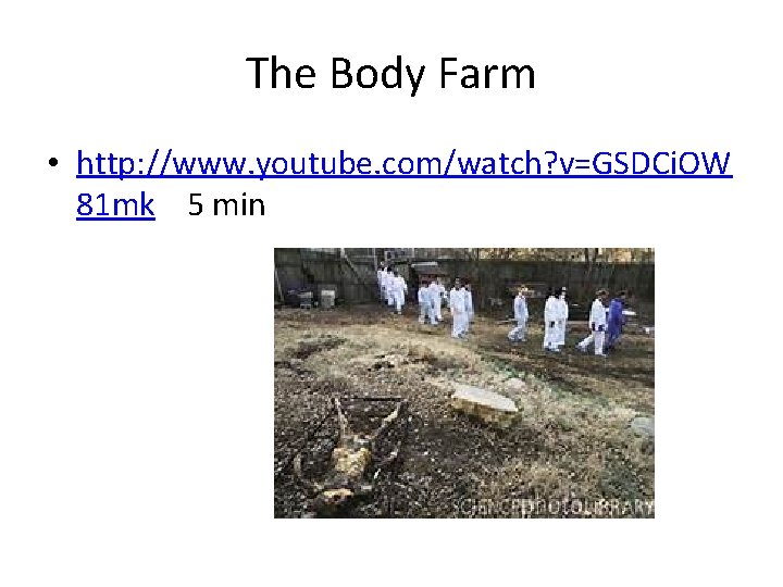 The Body Farm • http: //www. youtube. com/watch? v=GSDCi. OW 81 mk 5 min