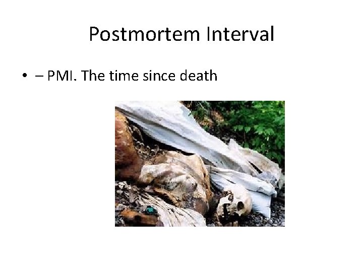 Postmortem Interval • – PMI. The time since death 