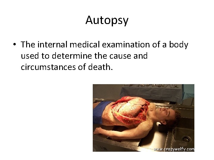 Autopsy • The internal medical examination of a body used to determine the cause