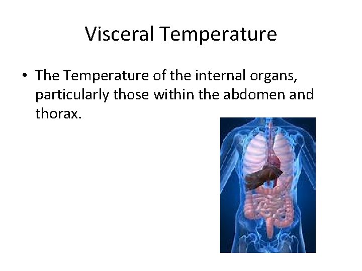 Visceral Temperature • The Temperature of the internal organs, particularly those within the abdomen