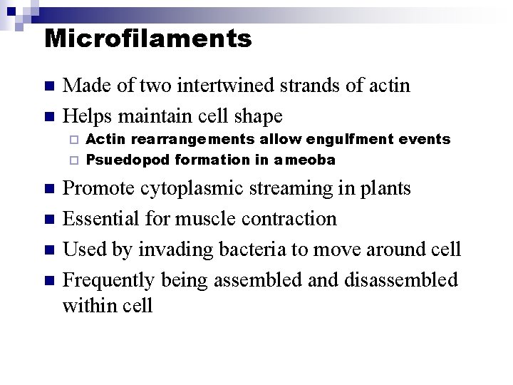 Microfilaments n n Made of two intertwined strands of actin Helps maintain cell shape