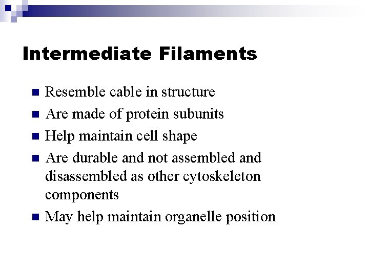 Intermediate Filaments n n n Resemble cable in structure Are made of protein subunits