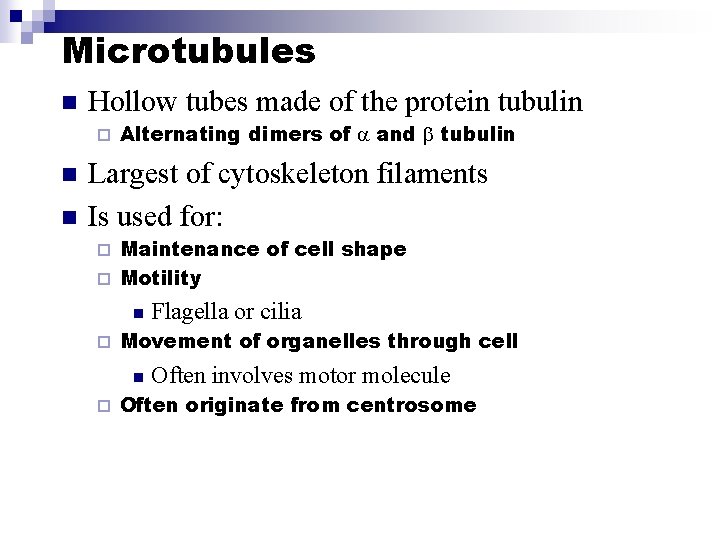 Microtubules n Hollow tubes made of the protein tubulin ¨ n n Alternating dimers