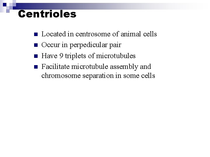 Centrioles n n Located in centrosome of animal cells Occur in perpedicular pair Have