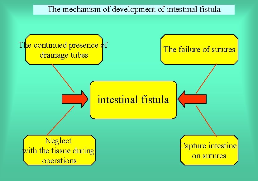 The mechanism of development of intestinal fistula The continued presence of drainage tubes The
