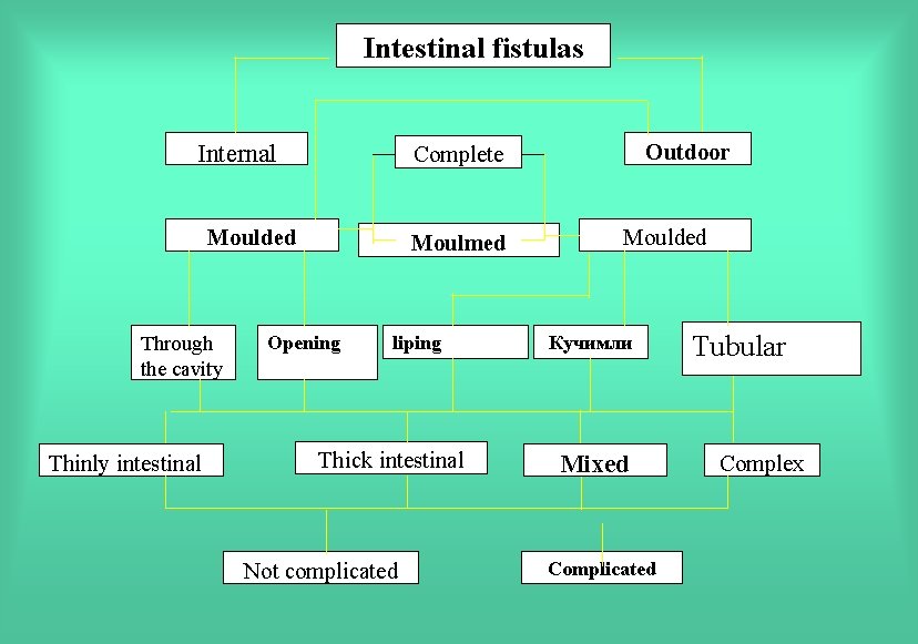 Intestinal fistulas Internal Moulded Through the cavity Thinly intestinal Outdoor Complete Moulmed Opening liping