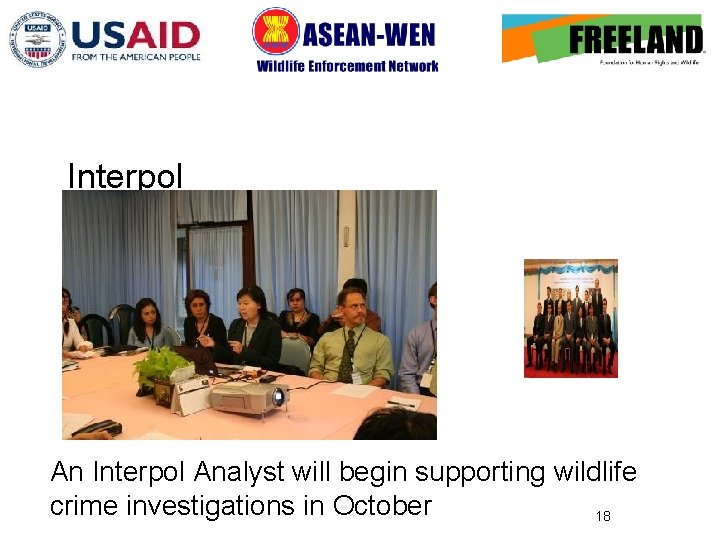 Interpol Analyst will begin supporting wildlife crime investigations in October 18 