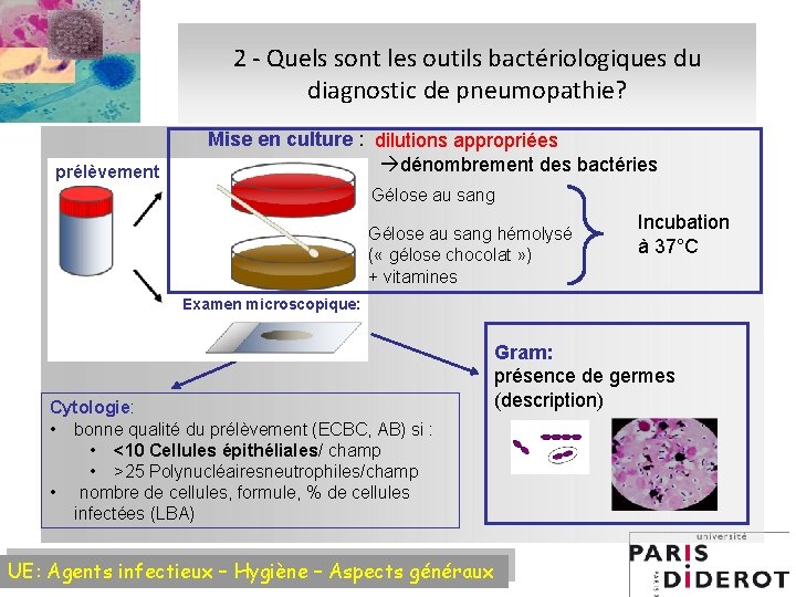 2 - Quels sont les outils bactériologiques du diagnostic de pneumopathie? prélèvement Mise en