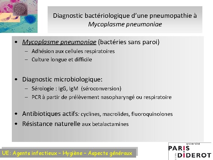 Diagnostic bactériologique d’une pneumopathie à Mycoplasme pneumoniae • Mycoplasme pneumoniae (bactéries sans paroi) –