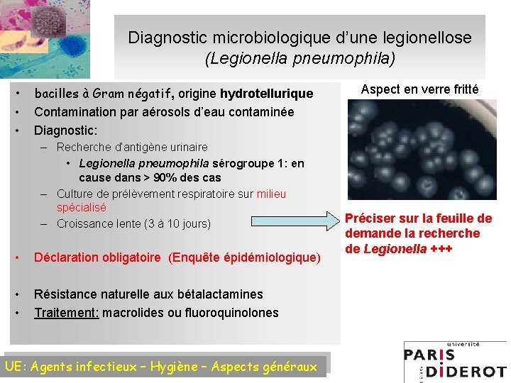 Diagnostic microbiologique d’une legionellose (Legionella pneumophila) • • • bacilles à Gram négatif, origine