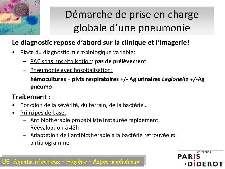 Démarche de prise en charge globale d’une pneumonie Le diagnostic repose d’abord sur la