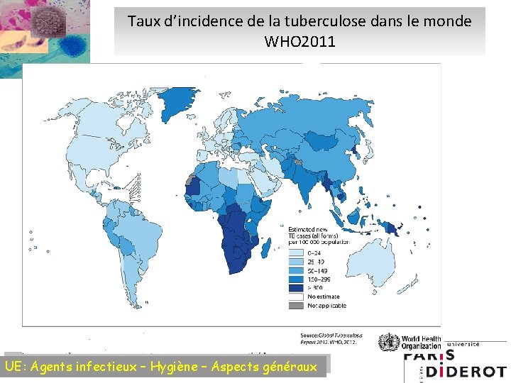 Taux d’incidence de la tuberculose dans le monde WHO 2011 UE: Agents infectieux –