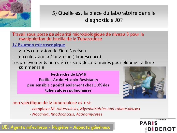 5) Quelle est la place du laboratoire dans le diagnostic à J 0? Travail