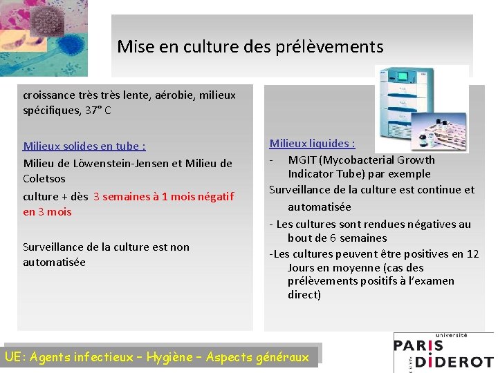 Mise en culture des prélèvements croissance très lente, aérobie, milieux spécifiques, 37° C Milieux