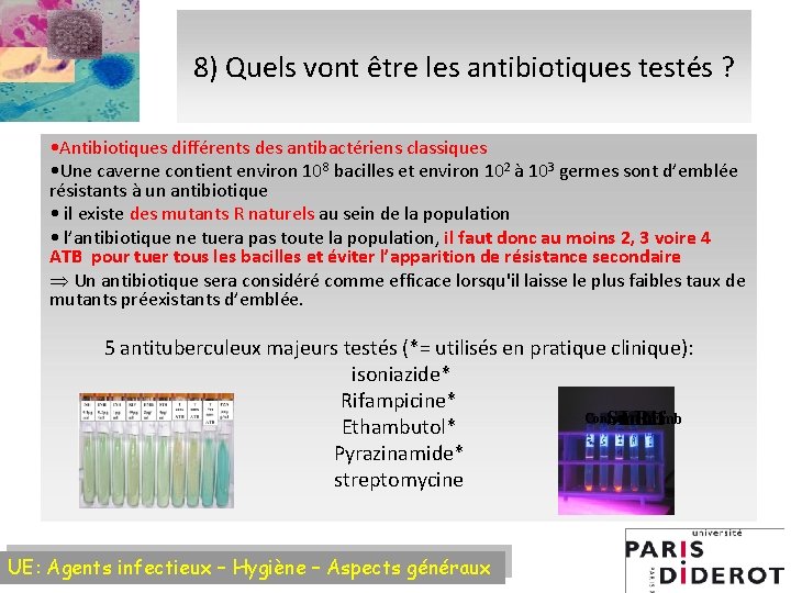 8) Quels vont être les antibiotiques testés ? • Antibiotiques différents des antibactériens classiques