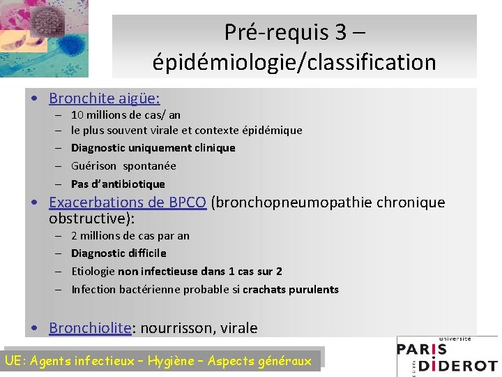 Pré-requis 3 – épidémiologie/classification • Bronchite aigüe: – – – 10 millions de cas/