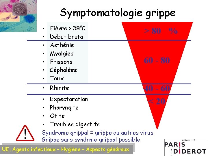 Symptomatologie grippe • • Fièvre > 38°C Début brutal Asthénie Myalgies Frissons Céphalées Toux