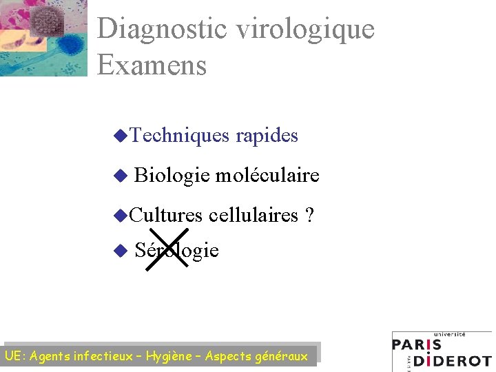 Diagnostic virologique Examens u. Techniques u Biologie moléculaire u. Cultures u rapides cellulaires ?