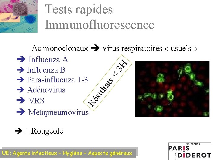 Tests rapides Immunofluorescence Ré su lt ats < 3 H Ac monoclonaux virus respiratoires