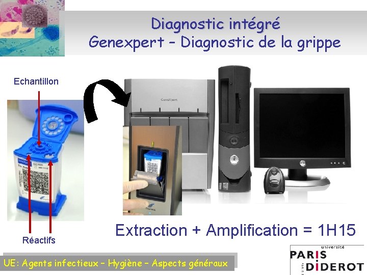 Diagnostic intégré Genexpert – Diagnostic de la grippe Echantillon Réactifs Extraction + Amplification =