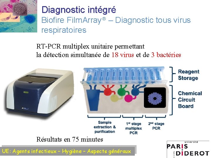 Diagnostic intégré Biofire Film. Array – Diagnostic tous virus respiratoires RT-PCR multiplex unitaire permettant