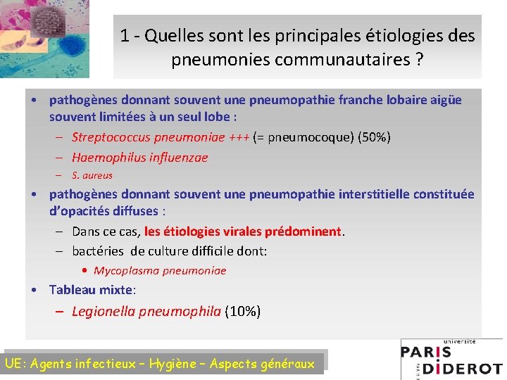 1 - Quelles sont les principales étiologies des pneumonies communautaires ? • pathogènes donnant