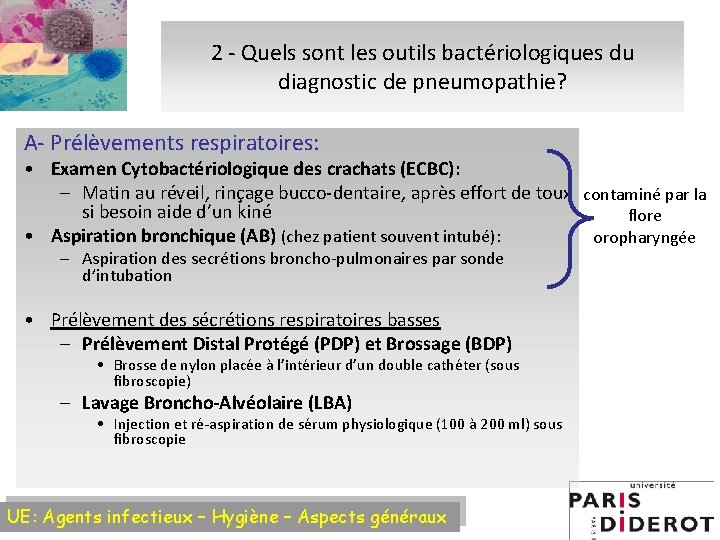 2 - Quels sont les outils bactériologiques du diagnostic de pneumopathie? A- Prélèvements respiratoires: