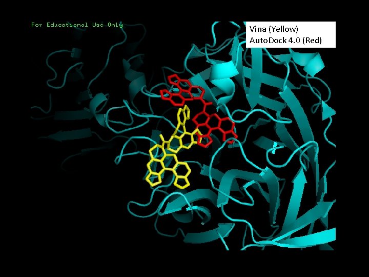 Vina (Yellow) Auto. Dock 4. 0 (Red) 