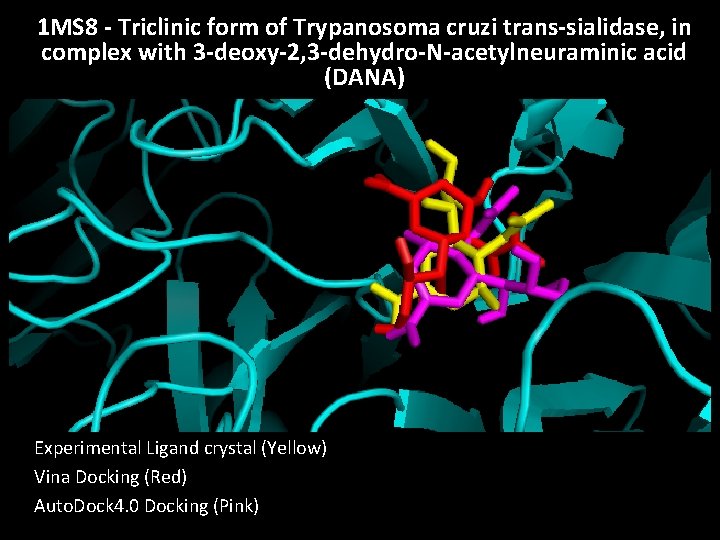 1 MS 8 - Triclinic form of Trypanosoma cruzi trans-sialidase, in complex with 3