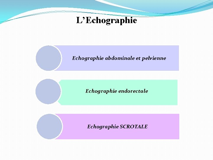 L’Echographie abdominale et pelvienne Echographie endorectale Echographie SCROTALE 