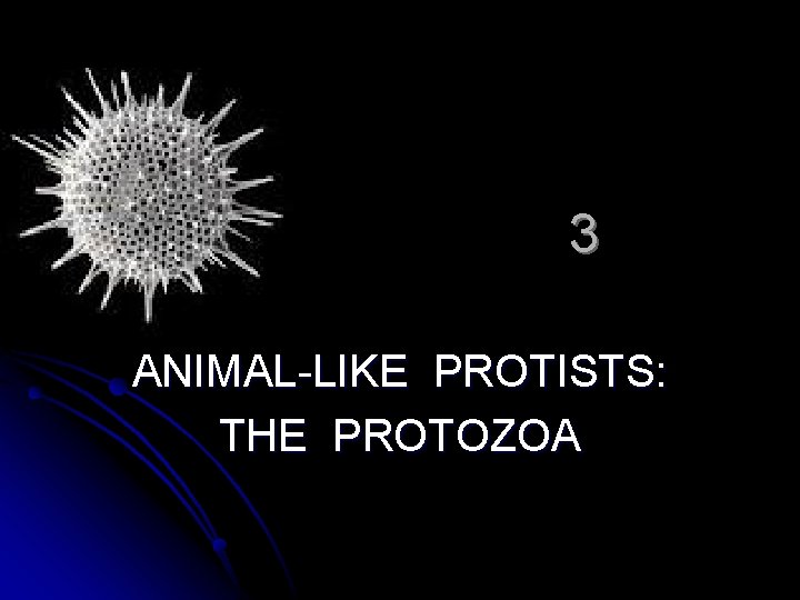 3 ANIMAL-LIKE PROTISTS: THE PROTOZOA 