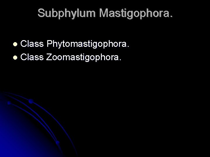 Subphylum Mastigophora. Class Phytomastigophora. l Class Zoomastigophora. l 