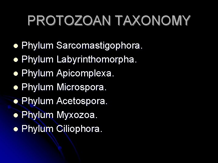 PROTOZOAN TAXONOMY Phylum Sarcomastigophora. l Phylum Labyrinthomorpha. l Phylum Apicomplexa. l Phylum Microspora. l