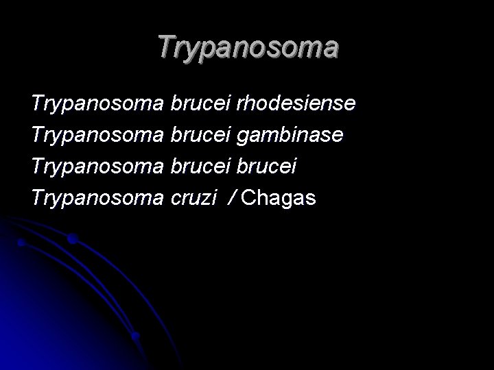 Trypanosoma brucei rhodesiense Trypanosoma brucei gambinase Trypanosoma brucei Trypanosoma cruzi / Chagas 